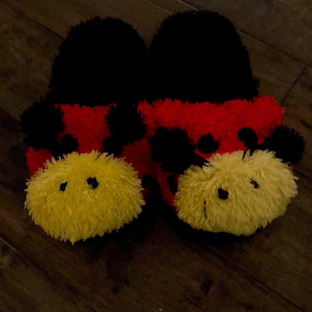 Ladybug slippers